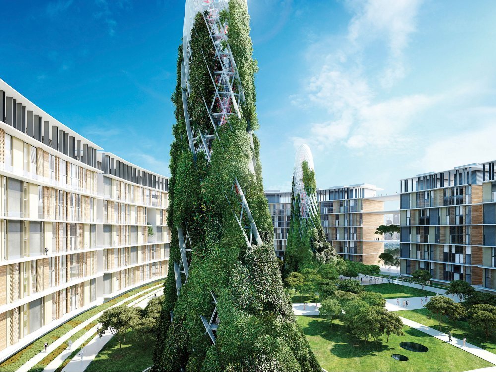 Oasis Development