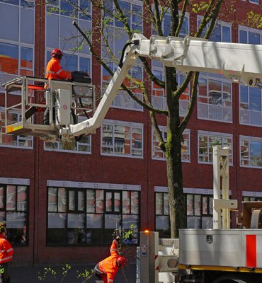 Commercial Building Project